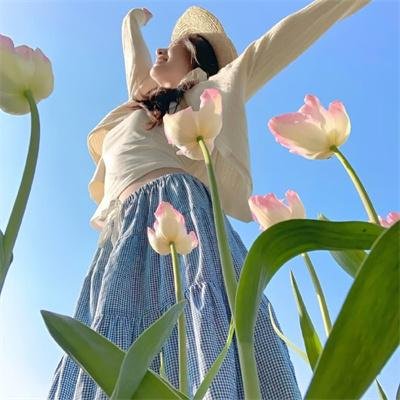 新燕子李三